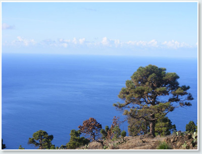 Visionssuche El Hierro