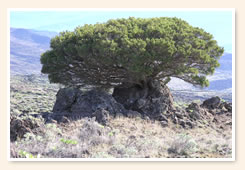 El Hierro