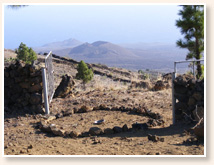 El Hierro