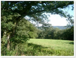 Eschwege_Institut_Landschaft