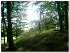 Eschwege Landschaft 3