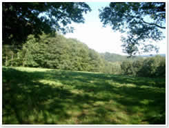 Eschwege Landschaft 4