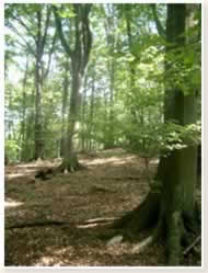 Eschwege Institut Bild 8