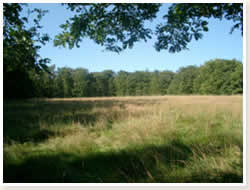 Eschwege Institut Bild 9
