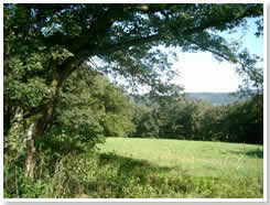 Gelber Berg