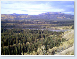 Yukon