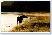 Yukon