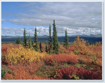 Yukon